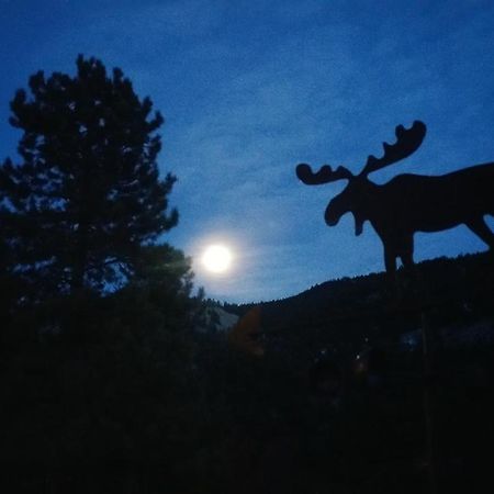 Alpine Moose Lodge Lake City エクステリア 写真