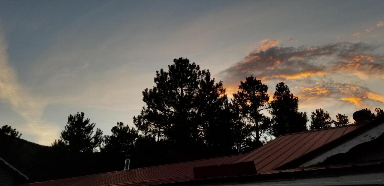 Alpine Moose Lodge Lake City エクステリア 写真
